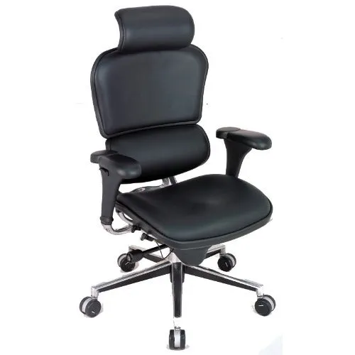 Eurotech Ergo High-Back Manager's Chair with Leather Seat