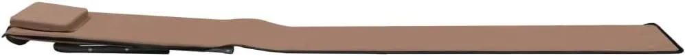 Folding Beach Mats 2 pcs Steel and Fabric BrownLuxury Sun Loungers with Adjustable Backrest and Cushioned Seat