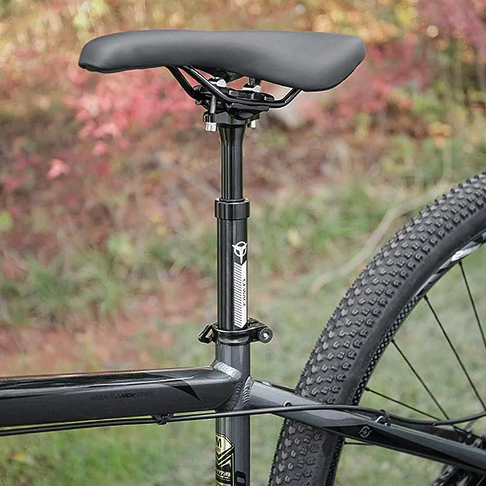Lixada Seat Post 27.2/30.9/31.6, Bike Seat Post Shock Absorbent, Suspension Seatpost Adjustable, Aluminum Alloy Bike Seat Pole