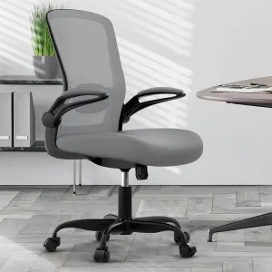 Mimoglad Modern Ergonomic Office Chair, Mesh Back with Flip-up Arms, Adjustable Lumbar Support, BIFMA Certified, Graphite