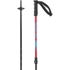 Salomon MTN JR Adjustable Ski Pole