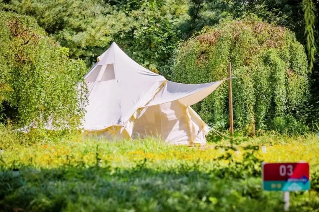 SAM&HAIBEI Canvas Bell Tent with Awning，4 Season Waterproof Large Glamping Tent （16.5ft for Family Camping, Outdoor Hunting, Party - Includes Triangle Sun Shade.