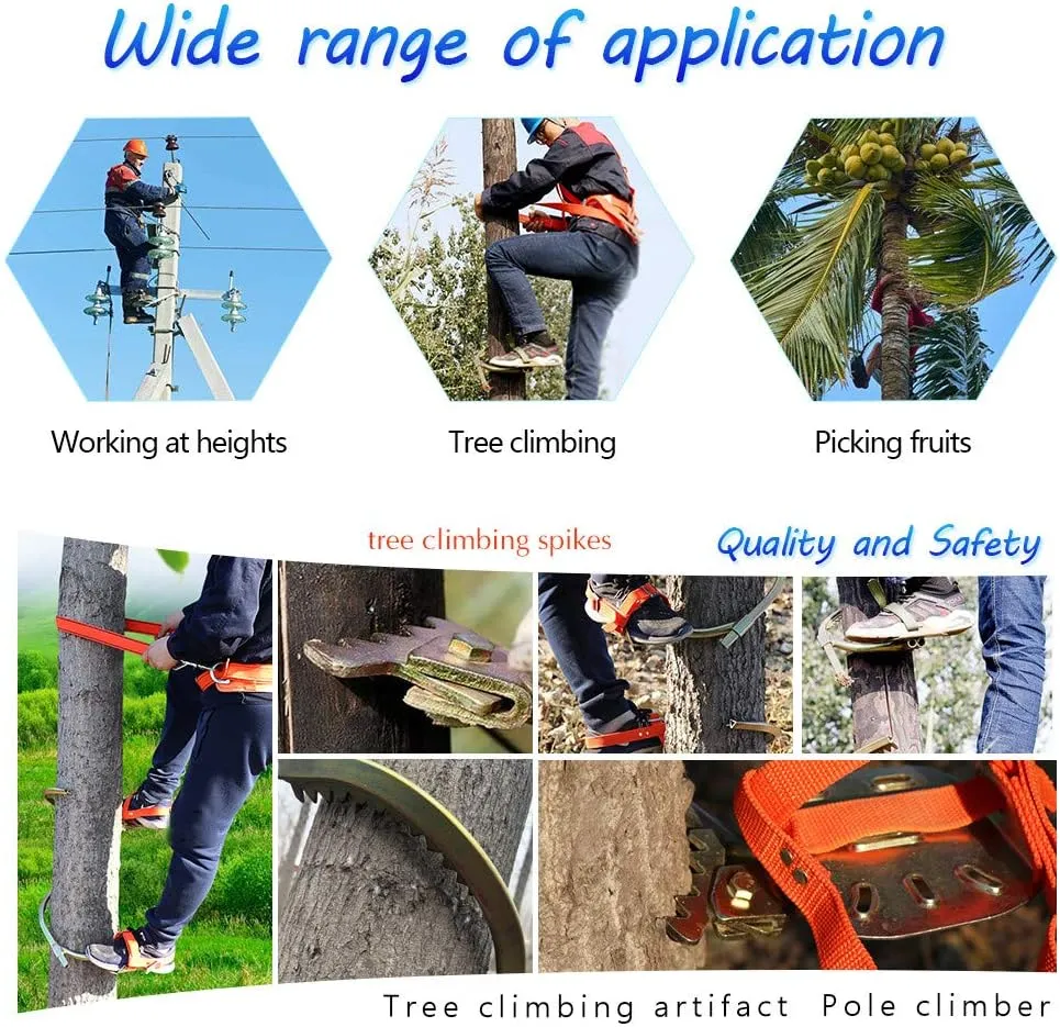 Tree Climbing Tool, Stainless Steel Professional Tree Climbing Gear Kit with Safe Belt, Adjustable Pole Climbing Spikes for Climbing Hunting Observation Picking Fruit,600model